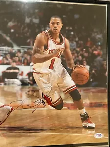 Derrick Rose signed 11x14 photo PSA COA Chicago Bulls - Picture 1 of 3
