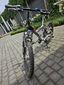 Pegasus Avanti Aluminium  20 Zoll Shimano 7 Gang Kinderrad - Bild 1 von 7