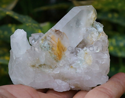 Naturel Blanc Himalaya Quartz Avec Fantôme Cristal 260gm Guérison Brute Spécimen • 48.55€