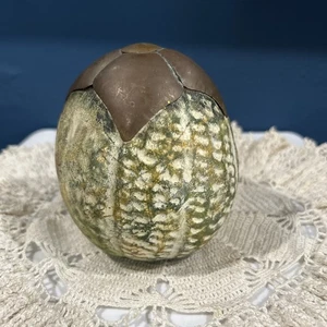 TERRACOTTA MELON/SQUASH WITH BRASS TOP DECORATIVE FRUIT FIGURINE - Picture 1 of 4