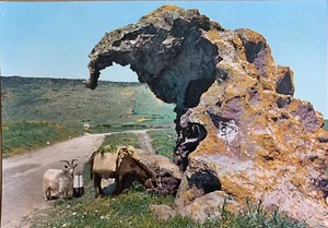 Cartolina Castelsardo Sassari Roccia dell’Elefante viaggiata - Foto 1 di 2