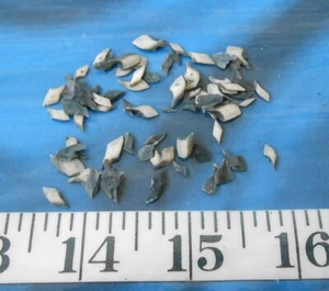 ~ Gar Scales ~ 60+ ~ One-Sided Charcoal Gray ~ Shellcraft ~ Sailors Valentines ~ - Picture 1 of 4