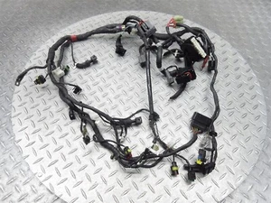 Arnés de cableado del motor principal Ducati Monster 696 2014 12-14 cable telar OEM - Imagen 1 de 20