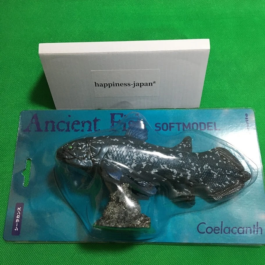 Favorite Figure 77711 Ancient Fish Coelacanth Soft Model From Japan