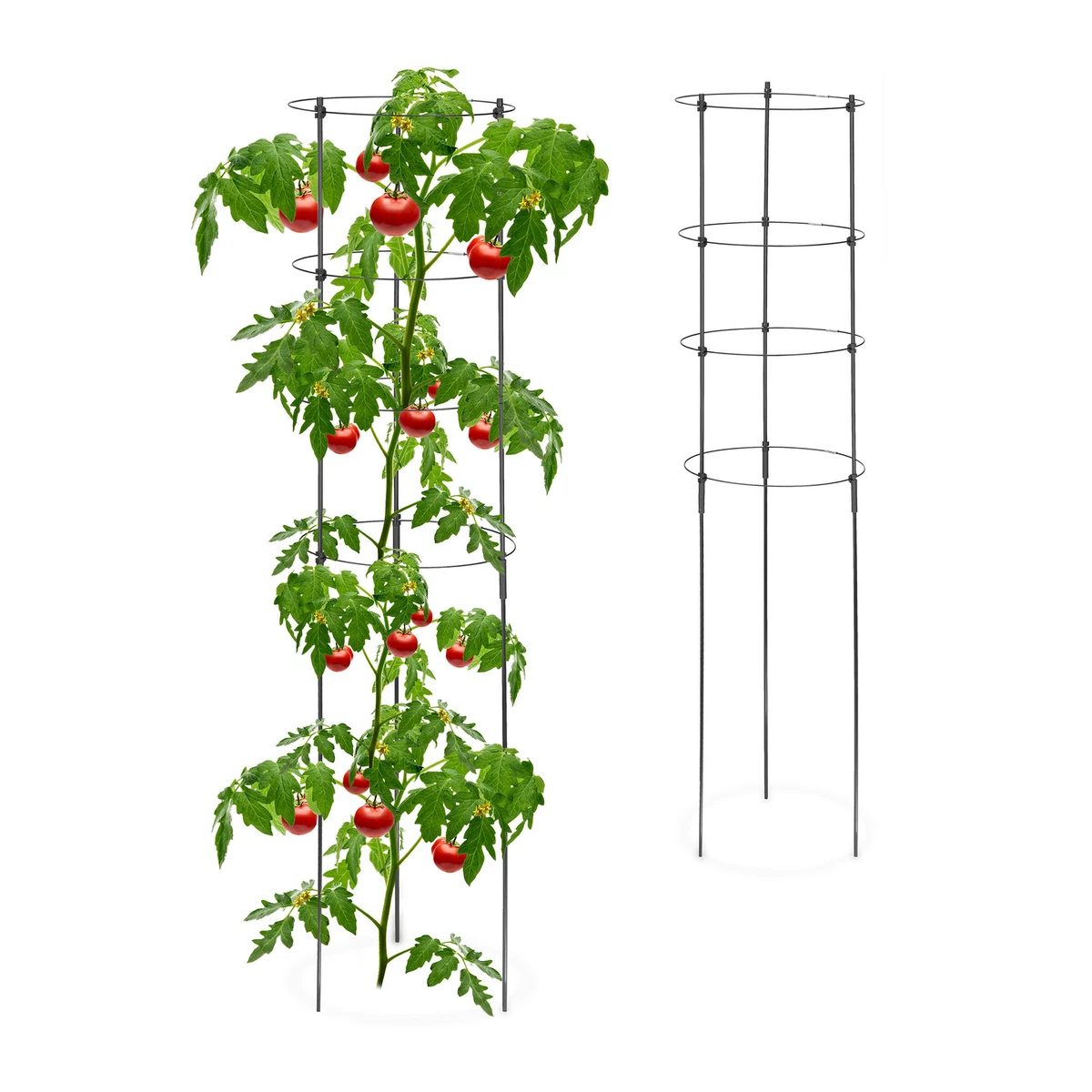 Stabile Metall-Pflanzenstäbe (91 Cm) – Grün, Rostfrei, Für Rosen, Orchideen & Tomaten