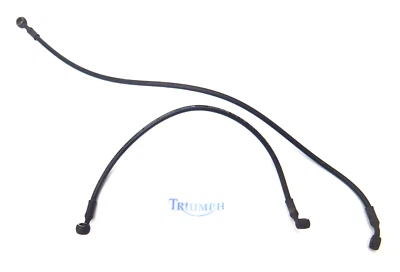 TRIUMPH DAYTONA 600 FRONT BRAKE HOSES BRAIDED LINES AS SHOWN 2003 - Image 1 of 4