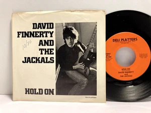 David Finnerty - Hold On RPM - Tested VG+ with Sleeve - F3 - Picture 1 of 2