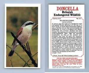 Red-Backed Shrike #22 Doncella Britains Endangered Wildlife 1984 Cigarette Card