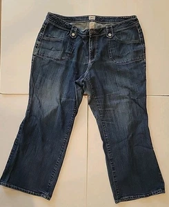 JMS Lotus Indigo Blue Relaxed Wide Leg Opening Petite Jeans 20W - Picture 1 of 9