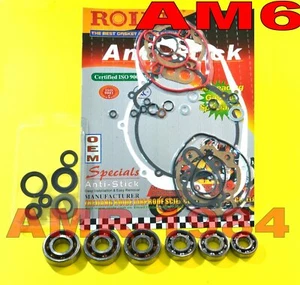 KIT REVISIONE MOTORE MINARELLI AM6 APRILIA BETA GUARNIZ + PARAOLI + CUSCINETTI - Foto 1 di 1