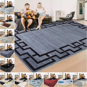 Large Rugs Living Room Non Slip Hallway Runner Washable Rug Kitchen Floor Mat - Picture 1 of 165