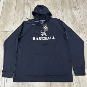 Neu mit Etikett Demarini Hoodie Größe XL Herren schwarz Langarm Logo Baseball - Bild 1 von 20