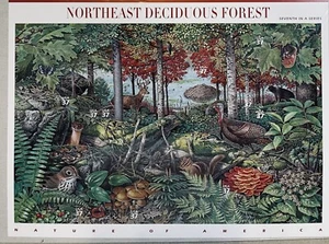 Scott #3899 Northeast Deciduous Forest KeepSake Pane of 10 Stamps - Sealed MNH - Picture 1 of 10