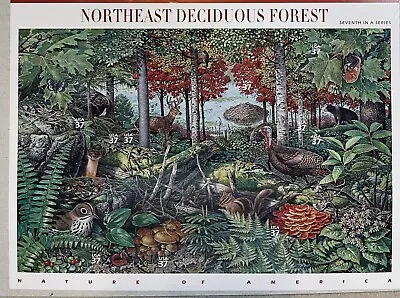 Scott #3899 Northeast Deciduous Forest KeepSake Pane of 10 Stamps - Sealed MNH - Image 1 of 4