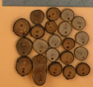 21 rebanadas de madera. La mayoría 1"-1 3/8". Varios espesores. Sin terminar. Pretaladrado. - Imagen 1 de 4