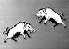 feral pig wild boar stickers 2 pack water & fade proof vinyl 4wd hunting 