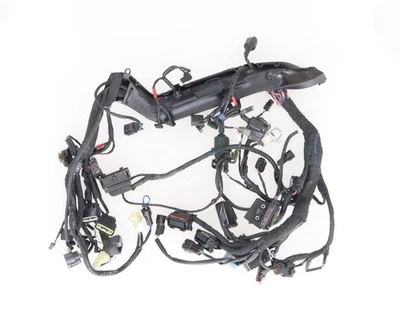 Telar de cableado principal Triumph Bonneville Street Twin 2016-2018 - T2501952 Foto 1 de 4