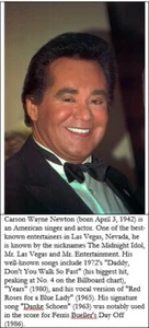 Vinyl Wayne Newton LP Albums - Picture 1 of 20