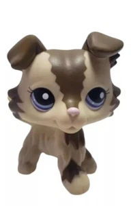 LPS Pet Shop #2210 Collie Hund creme hellbraun braun mit blauen Augen selten Welpe neu USA - Bild 1 von 5