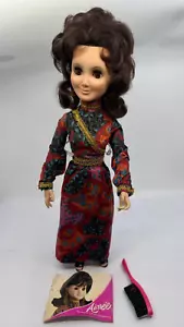 Vintage 1972 Hasbro Aimee Puppe mit Original Kleid Schuhe Haarbürste Heft 18 Zoll - Bild 1 von 21