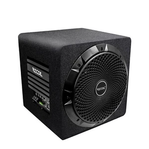 Recoil 10 Zoll (250 mm) Aktiv Subwoofer mit Passivradiator und eingebautem 600 W - Bild 1 von 2