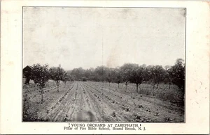 Orchard Zarephath Pillar of Fire Bible School Bound Book New Jersey Postcard - Picture 1 of 2