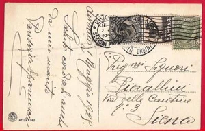 P0420 - ITALIA - Historia Postal - Sello Publicitario PUBBLICITARIO en tarjeta PERROS - Imagen 1 de 1