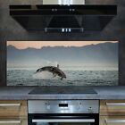 Weißer Hai 125x50 Hartglas Küchenrückwand Spritzschutz Wandschutz ESG Deko Glas