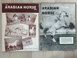 Lot of 2 Arabian Horse News Stallion Issues Jan-February 1961 & February 1963 - Picture 1 of 22