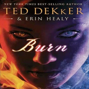 BURN by Ted Dekker & Erin Healy (2010) Unabridged CD Audiobook - NEW & SEALED - Foto 1 di 3