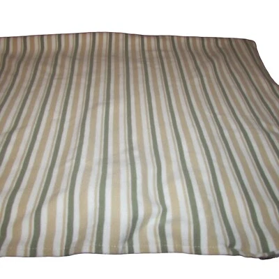 迪士尼儿童小熊维尼线婴儿接收毯绿色白色棕褐色条纹棉质针织 — 第 1/3 张图片