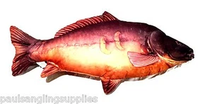 Carp Fishing Fish Shaped  Pillow /  Cushion / Toy  Wide - Picture 1 of 1
