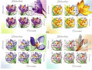 ROMANIA 2022 Flowers, Crocuses, Flora, used, gestempelt - Picture 1 of 1
