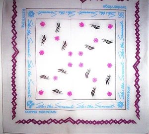 5 SKI THE SUMMIT BANDANAS KEYSTONE BRECKENRIDGE COPPER MOUNTAIN ARAPAHOE BASIN - Picture 1 of 4