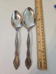 Cubiertos de por vida (ino inoxidable) cubiertos hechos en Japón 2 cucharadas usados - Imagen 1 de 7