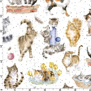 Feline Drive Fabric WHISKERS & PAWS Directional Cats White - Sold by the Yard - Picture 1 of 8
