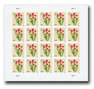 2024 TULIPANES ROJOS MNH Hoja 20 x 5¢ Estampillas #5900 Flores, Jardín, Festivales de Tulipanes - Imagen 1 de 2