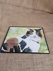 Beautiful Signed Water Color, Signed Stillman, Cat with green eyes, 8x10 Framed