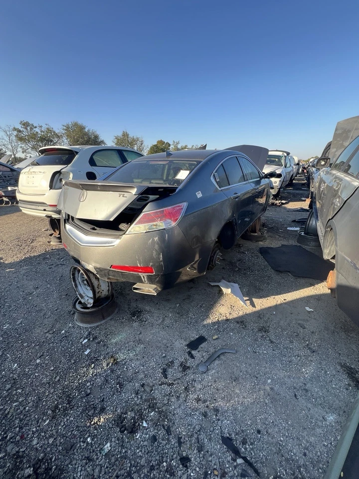 Acura TL 2009-2014 techo corredizo techo corredizo ventana corredera vidrio OEM — SOLO VIDRIO Foto 1 de 4