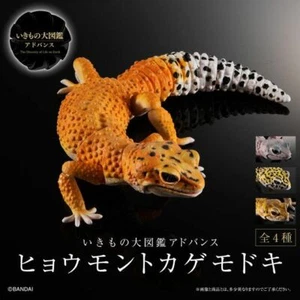 Bandai Gecko capsule Japan Limited Edition Full set of 4 pcs - Picture 1 of 7
