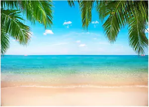 Beach Ocean Backdrop, Hawaii Tropical Background Summer Photography Picture Luau - Picture 1 of 12