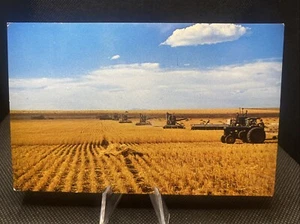 POSTCARD: Wheat Harvest Time In Montana N3 - Picture 1 of 2