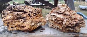 LARGE Holey Rock Aquascape /Terrarium Natural Ozark Honeycomb Rocks 2 PCS 21 lbs - Picture 1 of 12