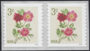 US 2024 Stamps 3 cent Peonies Scott #5904 coil pair - Picture 1 of 1