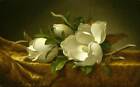 Martin Johnson Heade - Magnolias Sur Doré Velours Tissu 102x127cm Toile