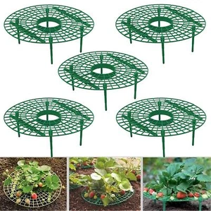 5PCS Adjustable Strawberry Supports Racks for Growing Elevated Fruits Garden - Picture 1 of 7