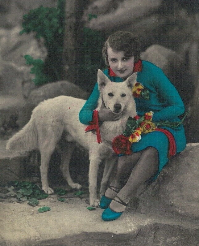 PA4596 ANIMALES PERROS ALETA ART DECO CON PERRO GRANDE BLANCO POSANDO RPPC HEAVY COL Foto 1 de 2