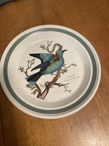 Vintage Portmeirion Birds Of Britain Roller 9” Plate Collector England - Bild 1 von 5