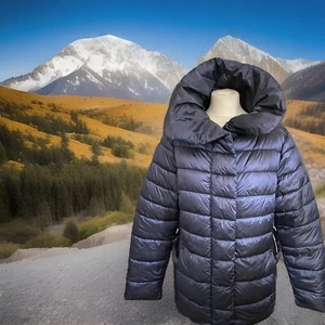 Barbour Endrick Quilted Jacket 16 Warm L/weight Fibre Down Country Coast Walk - Picture 1 of 14