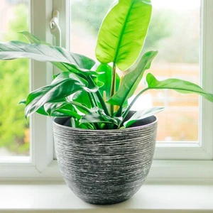 2X Grandes Redondo Macetas Jardín Flores Tiesto Ollas Patio Negro Plata 35cm Sg - Imagen 1 de 11